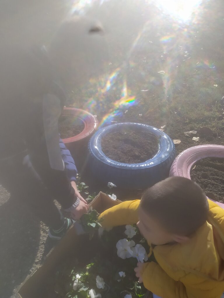 viber slika 2025 10 30 14 34 48 038