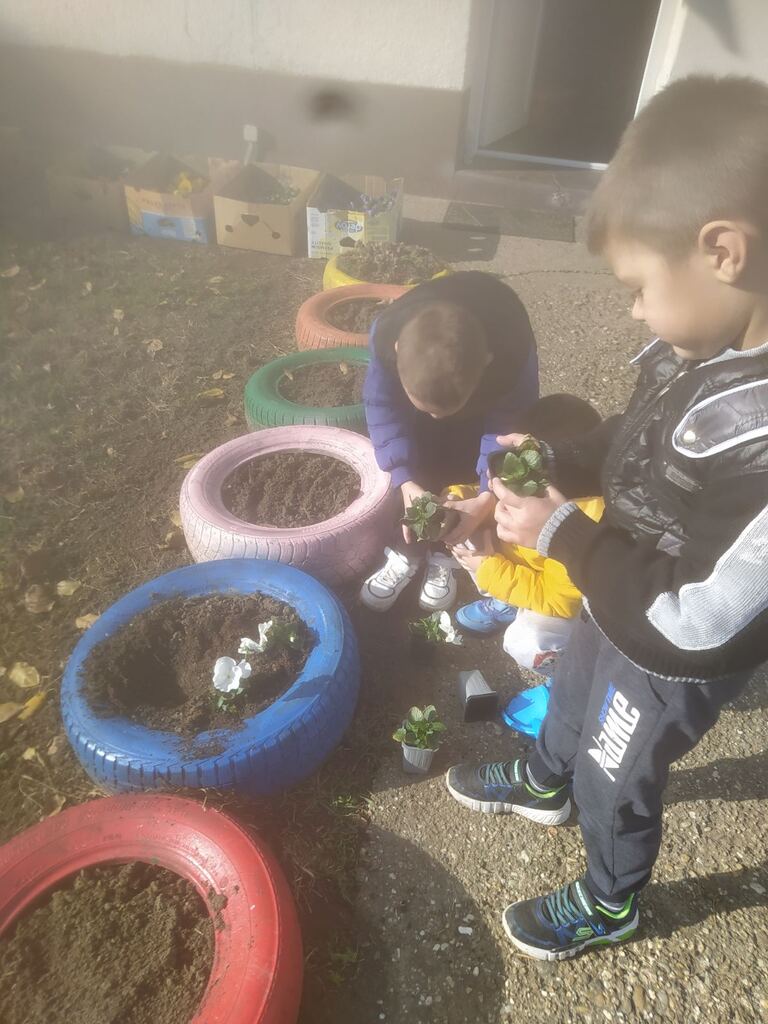 viber slika 2025 10 30 14 34 48 637